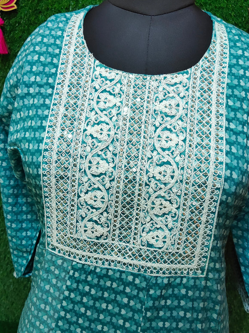 Sky Blue  Designed Anarkali Gown