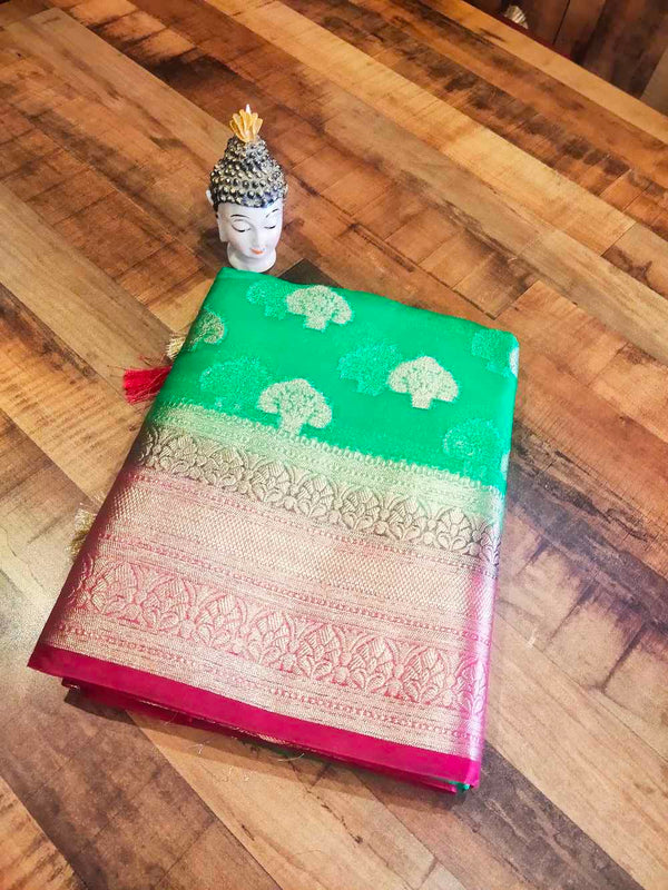 Green With Pink Organza Saree